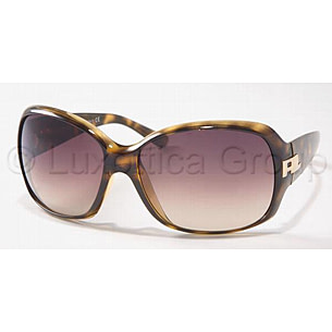 Ralph Lauren Sunglasses RL8001 | display picture 1