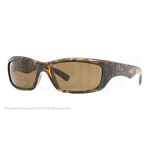 Ray-Ban RB4160 Sunglasses |