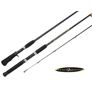 black beauty 2 fishing reel Accurate South Bend Black Beauty 2