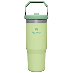 Stanley The IceFlow Flip Straw Tumbler | Up to $1.01 Off