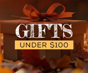 Gifts Under $100