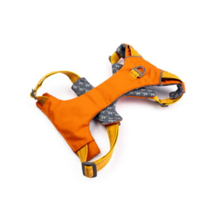 Get 25% Off Winchester Pet Harnesses & Leashes!