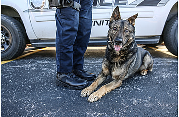 Image of Belleville TR1040-LSZ Ultralight Side-Zip Tactical Boot - Mens, Black, 9.5, Wide, TR1040-LSZ 095W