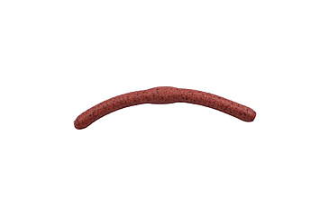 Image of Berkley Gulp! Alive! Fat Floating Trout Worm, 2in. Bait, Natural, 1265866