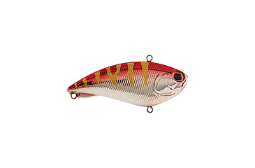 Image of Berkley Jack Hard Baits, Chrome Red Perch, 6, 1623968