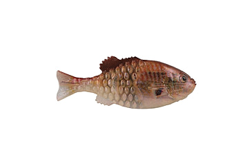 Image of Berkley PowerBait Saltwater Gilly Soft Bait, HD Croaker, 90, 1573098