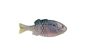 Image of Berkley PowerBait Saltwater Gilly Soft Bait, HD Menhaden, 110, 1573100