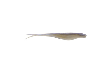 Image of Berkley PowerBaits Power Jerk Shad Jerkbaits, 10, 5in, Albino, 1478919