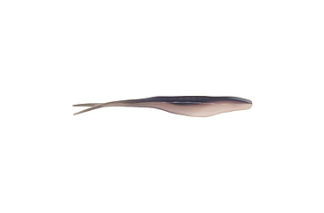 Image of Berkley PowerBaits Power Jerk Shad Jerkbaits, 10, 5in, Pro Blue, 1622837