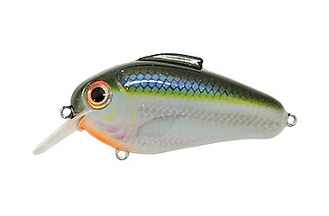 Image of Bill Lewis Echo Soft Bait, 1, 2.25 -- 2.25in, Blue Shiner, BLF-EC260