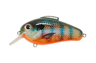 Image of Bill Lewis Echo Soft Bait, 1, 2.25 -- 2.25in, Stumpknocker, BLF-EC254