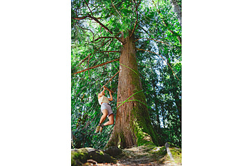 Image of Black Diamond Ethos Shorts - Womens, White Oak, Small, AP7501572019SML1