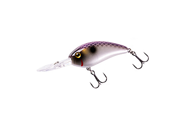 Image of Bomber scharlso 453098