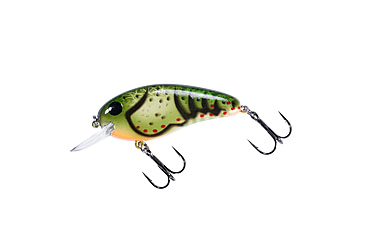 Image of Bomber scharlso