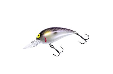 Image of Bomber scharlso