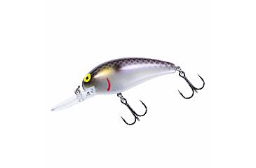 Image of Bomber scharlso