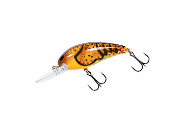 Image of Bomber scharlso