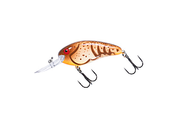 Image of Bomber scharlso