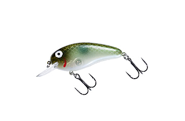 Image of Bomber scharlso