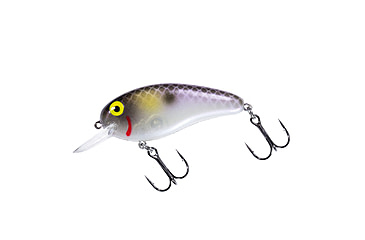 Image of Bomber scharlso