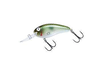 Image of Bomber scharlso