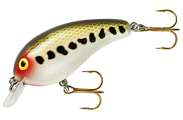 Image of Cotton Cordell Big O Square Lip Crankbait, 2.25in, 1/3 oz, Floating, Baby Bass, C77560