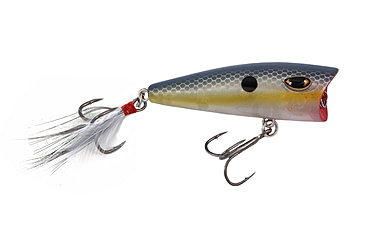 Image of Duckett Fishing BD 60P Popper, Ghost Sexy, 60 mm, BD60-GS