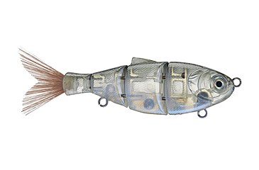 Image of Duckett Fishing BD Shad, Ghost Green Shad, 5 in, BDSHAD5-SS Ghost Green Shad