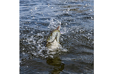 Image of Duckett Fishing Subtle Head Jig
