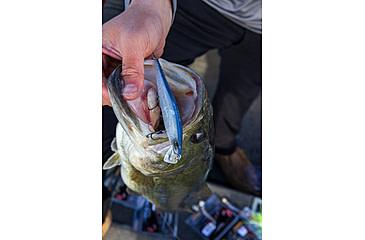 Image of Duckett Fishing Reveal Forward Facing Sonar Jerkbait, 4.5in, 3/4oz, Chrome Shad, DBRJ3/4 CS