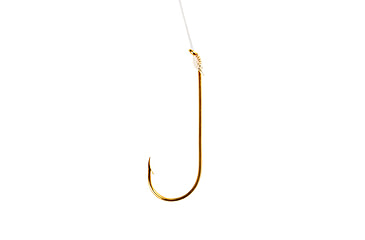 Image of Eagle Claw Aberdeen Snelled Hook,Offset,Down Eye,1x Long Shank,Plain Shank,Light Wire,Live Bait,Mono,7in,Gold 121H-1/0