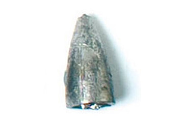 Image of Eagle Claw Worm Weight Sinker,Size 3/16oz 02040-002