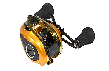 Image of Favorite Fishing Soleus XCS casting reel, Gold/Gold 8.1-1, Right, Gold/Gold, SLSG8XR