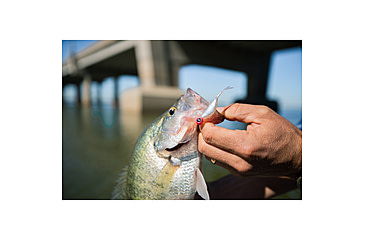 Image of Googan Squad Dangle Dart, 2.5in, monkey Milk, GCDD-25-MKM