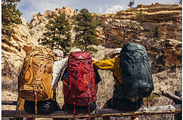 Image of Gregory Paragon 50L Backpack - Mens, Desert Red, Medium/Large, 153022-A027