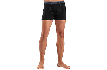 Image of Icebreaker Merino 150 Anatomica Boxers w/ Fly - Men's, Black, 2XL, IB103030001XXL