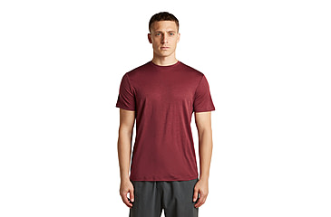 Image of Icebreaker Merino 150 Tech Lite Short Sleeve Relaxed Tee - Mens