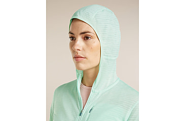 Image of Icebreaker Merino Blend 200 RealFleece Descender Long Sleeve Zip Hoodie - Womens
