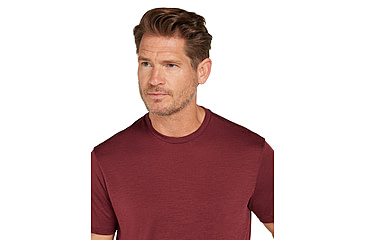 Image of Icebreaker Men Merino 150 Tech Lite SS Tee, Port, L, IB0A56WL01CL