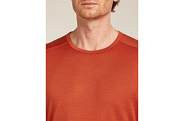 Image of Icebreaker Merino 200 Oasis Long Sleeve Crew Thermal Top - Mens, Agate, Medium, IB1043650GSM