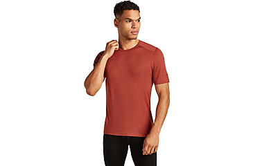 Image of Icebreaker Merino 200 Oasis SS Crewe - Men's, Jasper, Extra Large, IB1045090BAXL