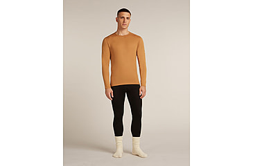 Image of Icebreaker Merino 260 Tech Long Sleeve Crew Thermal Top - Mens, Trail, Extra Large, IB1043710GRXL