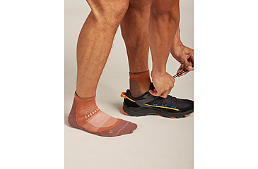 Image of Icebreaker Merino Hike+ Light Mini Socks - Mens, Dusty Clay/Carob, Large, IB0A578N0D7L