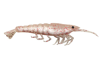Image of Lunkerhunt Bait Shifter Shrimp kit Shrimp, 1, 3.5in, Blood Fin, BSHRIMP06
