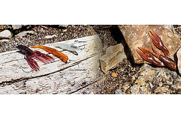 Image of Lunkerhunt Descend Salamander Bait Soft Bait, 6, 5in, Newt, SLMNDR1