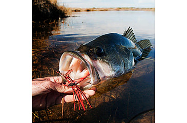 Image of Lunkerhunt Dragonfly Bait Soft Bait, 1, 3in, Cardinal, DRGF02