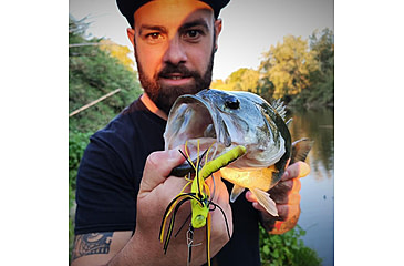 Image of Lunkerhunt Dragonfly Bait Soft Bait, 1, 3in, Meadowhawk, DRGF03