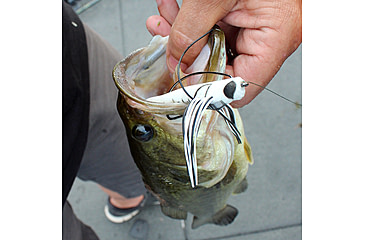 Image of Lunkerhunt Dragonfly Bait Soft Bait, 1, 3in, Skimmer, DRGF05