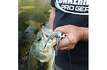 Image of Lunkerhunt Dragonfly Bait Soft Bait, 1, 3in, Skimmer, DRGF05