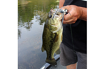 Image of Lunkerhunt Dragonfly Bait Soft Bait, 1, 3in, Skimmer, DRGF05